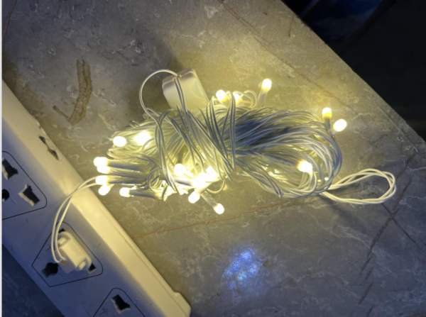 Waterproof Rice Light (10 m, 20 LED) - Image 3
